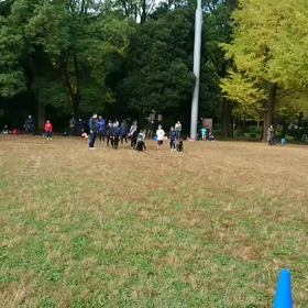 ダッシュ(緑チーム)⑦の画像