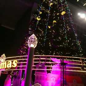 クリスマスツリーの画像