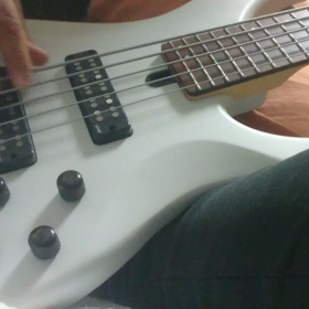 生音(生物ではありません)の画像