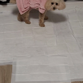2022/02/24の画像