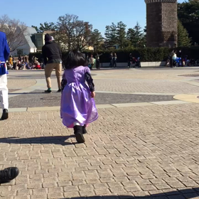 ♪年パス9回目、アナ雪、ハピネス♪の画像