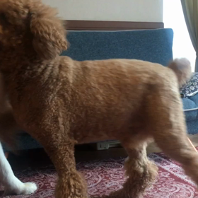 雨の日の過ごし方(^○^)の画像