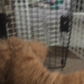 は〜ちゃんのお家に、お邪魔しま〜すの画像