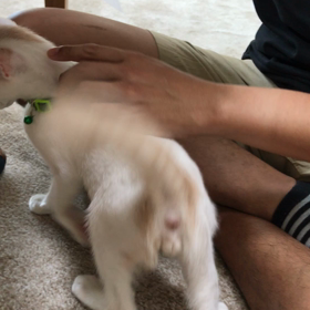 早速ニュースに！の画像