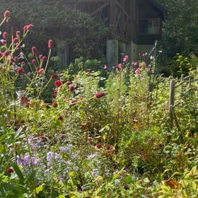 秋晴れの一日♡の画像