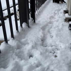 今日はピーターパンの日の画像