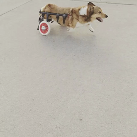 ランニングじーの画像