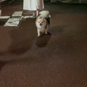 腎臓がん　術後4年経ちました。の画像