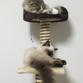 お風呂.。o○の画像