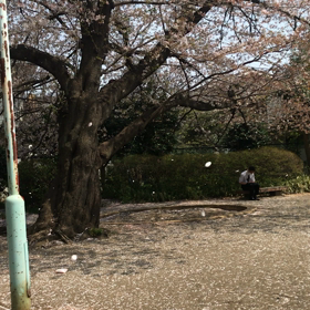 これ書いてると、時間取られるな、って事での画像