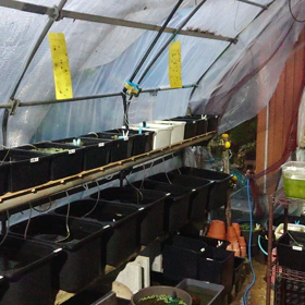 千葉県南房総市の状況の画像