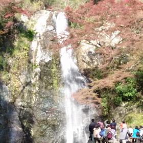 ﾏｲﾅｽｲｵﾝをお届けの画像