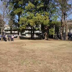 3/11　ジャベリック練習の画像