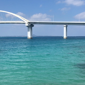 みなさんに癒しの映像を^ ^の画像