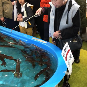 イカ釣りの画像