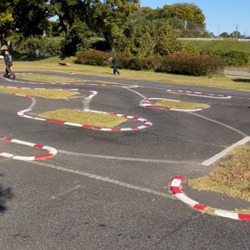 秋めいての画像