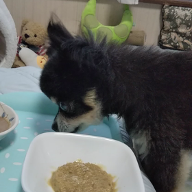 …(￣０￣;…の画像