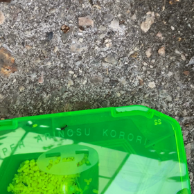 サブイボが出るで〜の画像