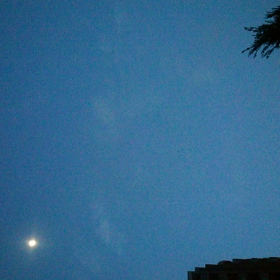 秋だね～の画像