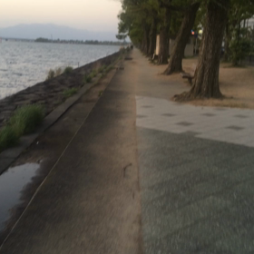 琵琶湖の東側の光景！の画像