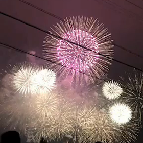 全国花火名人選抜競技大会の画像