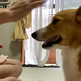 芸を磨くの画像