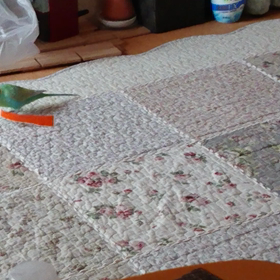 お手軽なの画像