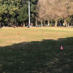 10色リレー 折り返し付近⑥の画像