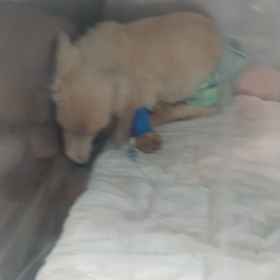 【だい・入院６日目】の画像