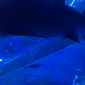 婚活パーティー神奈川の画像