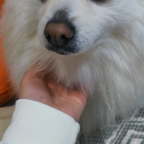 エンドレスおての画像