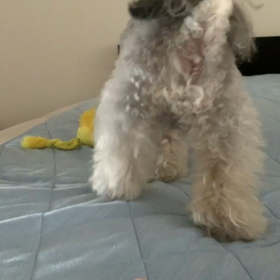 むぎの1人遊びの画像