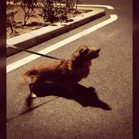 はっぴばーすでい。の画像