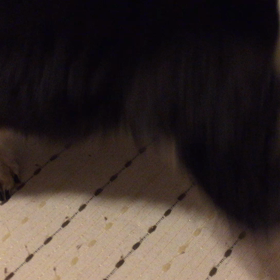 頑張れ頑張れ〜の画像