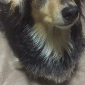 キュンキュン言うてます　笑の画像