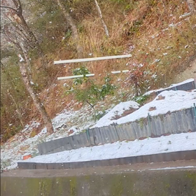 雪が降ってきたの画像