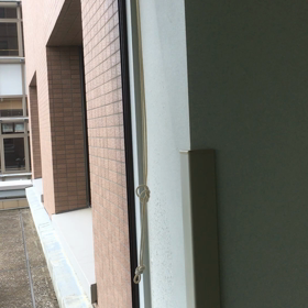 風のいたずらの画像