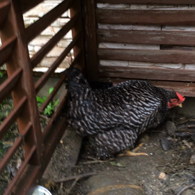 立会い出産(^-^)/の画像