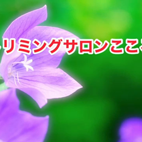 スライドショーの画像