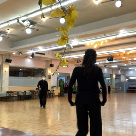 どおして‥優雅に踊れないの？の画像