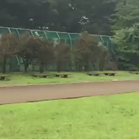 動画の画像