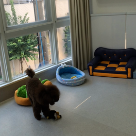 ♪プレイルーム動画♪の画像