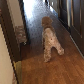 今日のミッション終了の画像