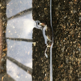 釣りをして、変わった事。の画像