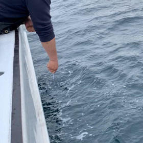 動画とお知らせ！の画像