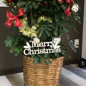 コインランドリー徳島市fukushima(徳島県徳島市立福島小学校の真向かい店舗1階)の画像