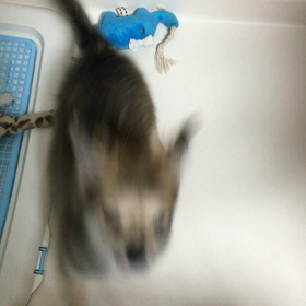 元気元気♪( ´▽｀)の画像