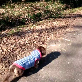 公園に、行きましたの画像