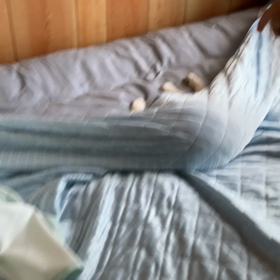 かくれんぼ？の画像