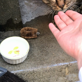 あとちょっとの画像